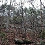Caesars Head State Park - Wildcat Branch Falls