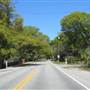 McCants Drive 1970s Residential Street