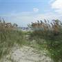 Sullivan's Island - Front Beach Houses