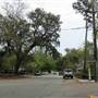 Royall Avenue - Old Village Mt. Pleasant
