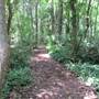 Oyster Factory Park TRAILS