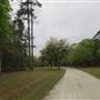 The Blessing Plantation - Late March / Early April Looks & Drive