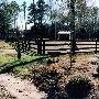 Sea Horse Plantation