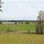 Bonneau Ferry Wildlife Management Area