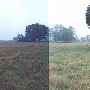Lewis Property - Home Place