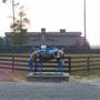 Stable View