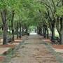 Charleston Waterfront Park - February