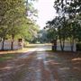 Pineland Plantation (Overview)