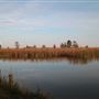 Harrietta Plantation Dec 2017 - East Dikes