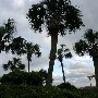 Myrtle Beach