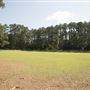 Chester State Park