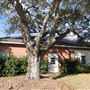 Former Sullivan's Island Town Hall & Police Station