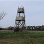 Boone Hall Plantation - Back Meadow (March 2019)