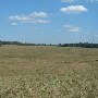 Darby Farms - Pastures