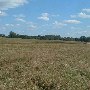 Darby Farms - Pastures