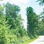 State Road 37-162