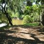 Harrietta Plantation - Docks on Creeks and Swamps (August 2019)