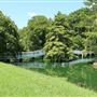 Harrietta Plantation - White Bridge Lake Area (August 2019)