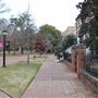 University of SC - The Horseshoe