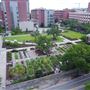 MUSC - Urban Farm