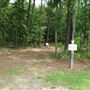 Johns Island Co Park - The Wet Path