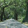 River Road (1) - John's Island