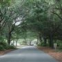 Fort Johnson Road - Harbor View Rd. to Fort Johnson Point