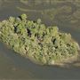 Low Country Private Island