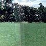 Callawassie Magnolia Course - 9th Hole