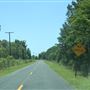 Gibson Road - May 14 & 20 2021