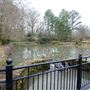 Glencairn Gardens