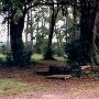 Next to Clarendon Plantation Landing