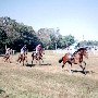 Aiken Steeplechase