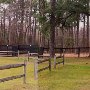 Springdale Horse Race Track (Steeplechase) - Stable E-3
