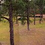 Springdale Horse Race Track (Steeplechase) - Stable E-3