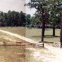 Springdale Horse Race Track (Steeplechase) - Stable E-3