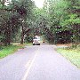 Johns Island Road