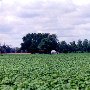 Roberts Farm