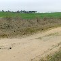 Wagener Wheat Fields