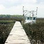 Lady J Shrimp Boat