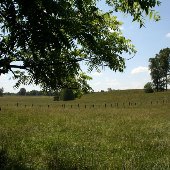 Tirzah Farm & Barn