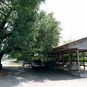 Pat's Peach Farm