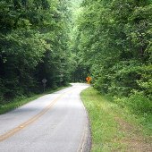 Eastatoee Creek Road