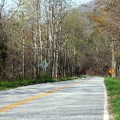 Gap Creek Road