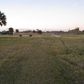 Fort Moultrie National Park - Surrounding Grounds