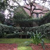 Gardens of Charleston - Hasell St.