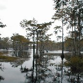 Gaddy's Mill Pond