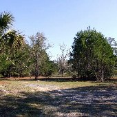Clements Ferry Property