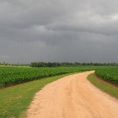 J.D. Wiles Farm
