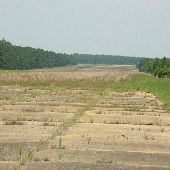 Barnwell County Airport